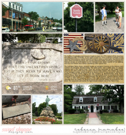 2018_7_16-Lexington-1-ljs-8days-temp11.jpg