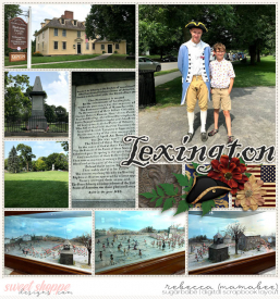 2018_7_16-Lexington-2-ljs-8days-temp12.jpg