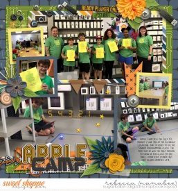 2018_8_3-Apple-Camp_-WorldTravels_pileup.jpg