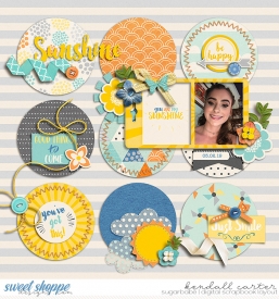 2019-03-03_Sunshine_WEB_KC.jpg