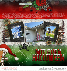 2019_10_27-christmas-lights-up-wendyp-newmemories-no3-templ2.jpg