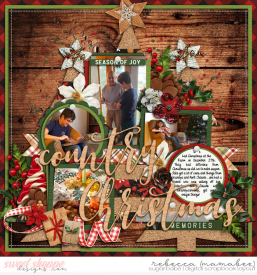 2019_12_27-christmas-at-the-farm-cschneider-set254pg1.jpg