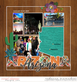 2019_1_23-cover-page-ljs-statetemplate-arizona2.jpg