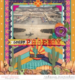 2019_1_27-good-bye-phoenix.jpg