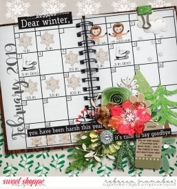 2019_2_14-harsh-winter.jpg