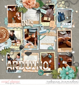 2019_3_30-arduino-with-daddy-ezpages7.jpg