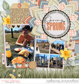 2019_4_8-spring-picnic-cschneider-AYSspringpg1.jpg
