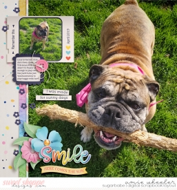 2019_4_Smile-babe.jpg