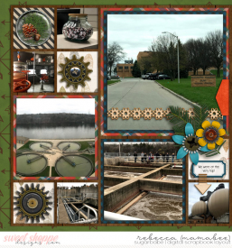 2019_5_2-water-treatment-cschneider-palooza95left.jpg