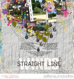 2019_7_20-straight-line-winds.jpg
