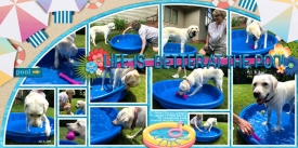 2019_7_6-daltons-pool-2sides8_double.jpg