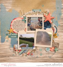 2019_7_Seaside_Vacation-babe.jpg