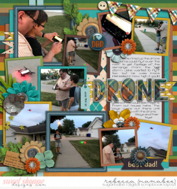 2019_8_2-drone_pp55.jpg
