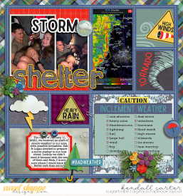 2020-01-11_StormShelter_WEB_KC.jpg