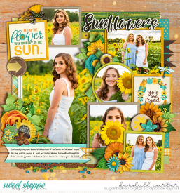 2020-06-20_Sunflowers_WEB_KC.jpg