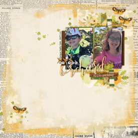 2020-09-Orchard-sm.jpg