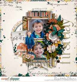 20200914_SSDPassport2_750.jpg