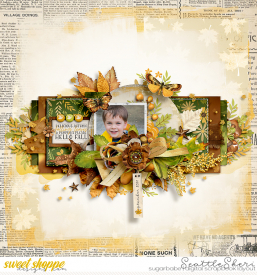 20200926_fallingleaves_750.jpg