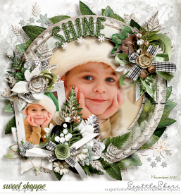 20201121_SantaFarm_750.jpg