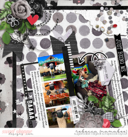 2020_10_21-shawn-the-sheep-alchemywildstudio_blacksheep_tif.jpg