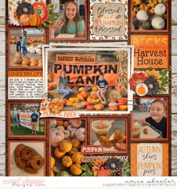 2020_10_Becks_harvest_house-babe.jpg