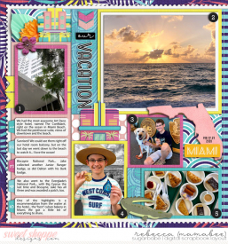 2020_2_21-highlights-of-miami-cschneider-AVDpg2bleft.jpg