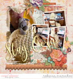 2020_2_5-stay-cozy-ljs-blended6pak8-3.jpg