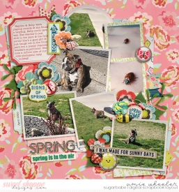 2020_4_Spring-babe.jpg