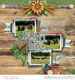 2020_6_14-hay-baleing-tnp-THEGOODLIFE-pd2.jpg
