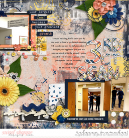 2020_9_17-3rd-ct-scan-ts-artisantemp1-2.jpg