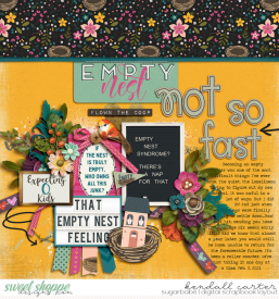 2021-02-03_EmptyNest_WEB_KC.jpg