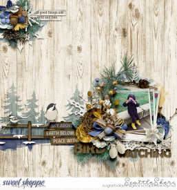 20210110_WinterWoods_SweetSolo4_750.jpg