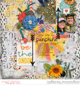 2021_11_17-be-the-sunshine-alchemywildstudio_twosidesoflove3.jpg