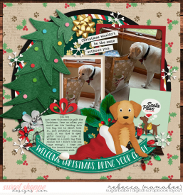 2021_12_24-dalton-gift-cschneider-HP211pg2.jpg
