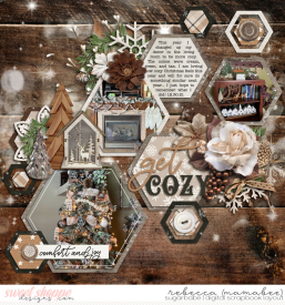 2021_12_30-living-room-decor-cschneider-HP372pg1.jpg