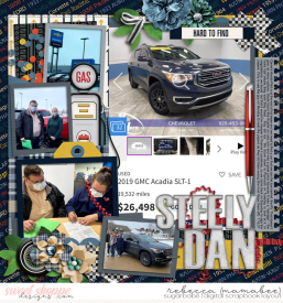 2021_1_16-steely-dan-cschneider-HP345pg2.jpg