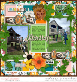 2021_4_14-nine-years-of-the-fort-cschneider-TP100pg2.jpg