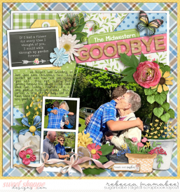 2021_5_29-midwestern-goodbye-cschneider-HP317pg2.jpg