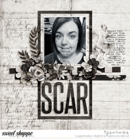 2022-01-ScarSB.jpg