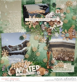 2022_1_Snowy_Winter-babe.jpg