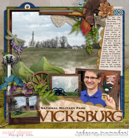 2022_2-24-vicksburg-cschneider-HP345pg1.jpg