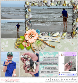 2022_2_20-shells-on-the-beach-wendyp-pageprotectors-no19-4.jpg