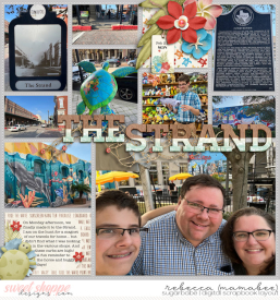 2022_2_21-the-strand-wendyp-pageprotectors-no12-2.jpg
