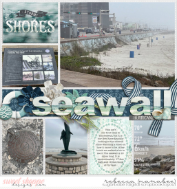 2022_2_22-seawall-wendyp-pageprotectors-no19-4.jpg