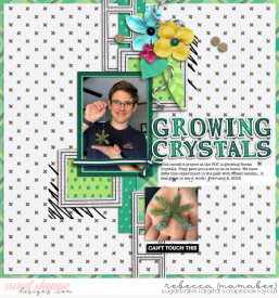 2022_2_3-growing-crystals.jpg