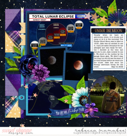 2022_5_15-lunar-eclipse-cschneider-DTF2left.jpg