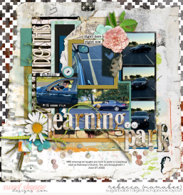 2022_6_27-learning-to-park-ponytails-temptations9-2.jpg