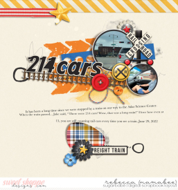 2022_6_29-train-cars-tnp_ARTIFIEDNo1_PD2.jpg