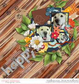 2022_7_10-happy-dalton-bmagee-dontrainonmyparade-template.jpg