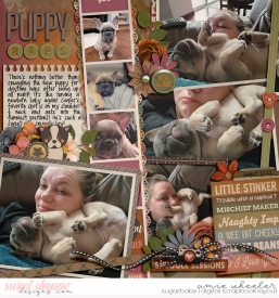 2022_8_Puppy_Naps-babe.jpg